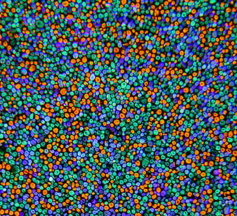 A close-up image of vibrant glitter particles exhibiting a range of colors including blue, green, orange, and purple, densely packed to create a shimmering effect.